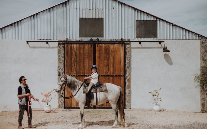 Descubriendo los países más corruptos